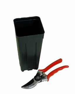 Tiefer viereckiger Palmentopf - pot 9 x 9 cm / 1,4 ltr.