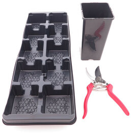 Tiefer viereckiger Palmentopf Rose Tray + 10 Töpfe - 2 ltr.