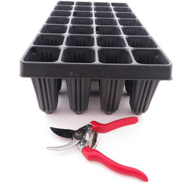 Tray für Palmseedlings 28-holes